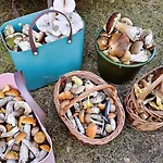 Prázdninový dům Caloroczny Dom 