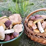 Prázdninový dům Caloroczny Dom 